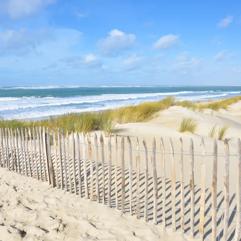 10 unmissable experiences in the Landes region ...