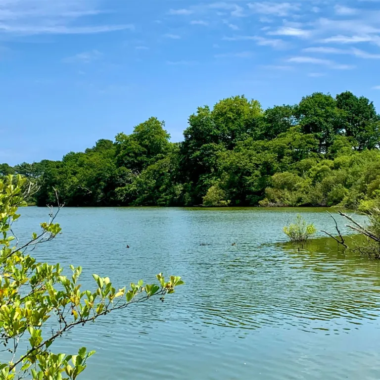Balade à la Réserve Naturelle de l’Etang noir