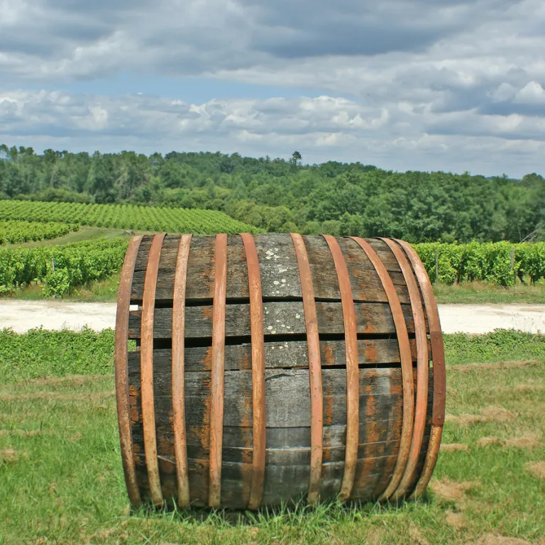 Immanquable : Le délicieux vin des Landes et s ...