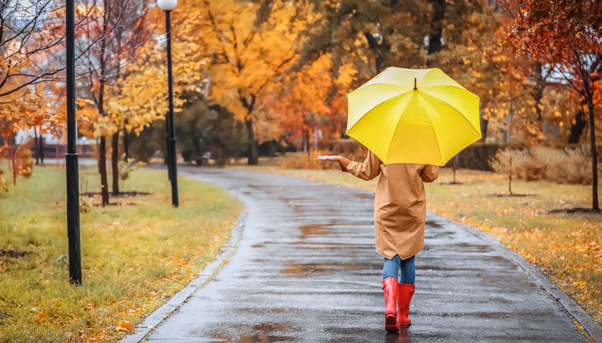 Que faire dans les Landes quand il pleut ?