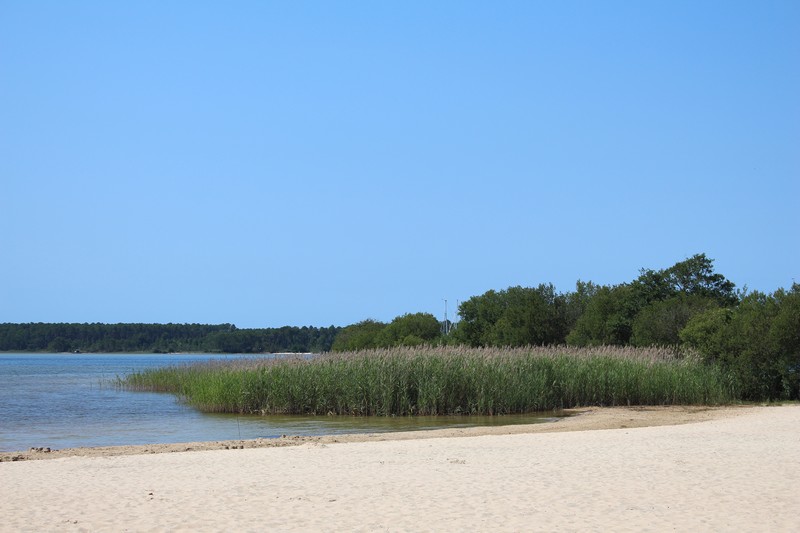 Campéole