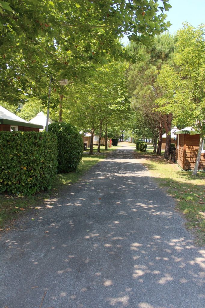 Campéole