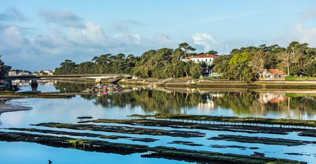 The Hossegor Oyster Parks