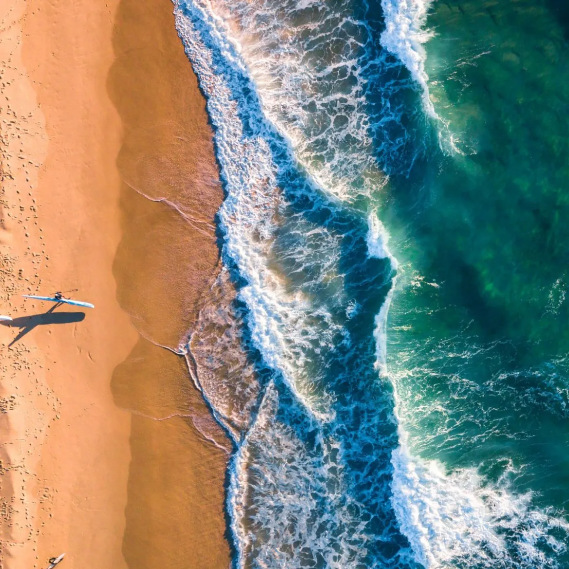 surf