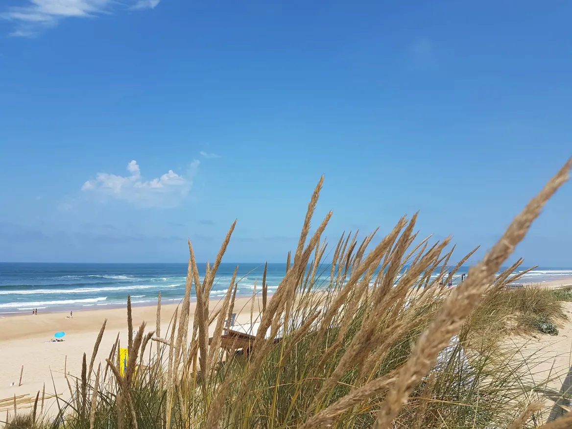 moorland beaches