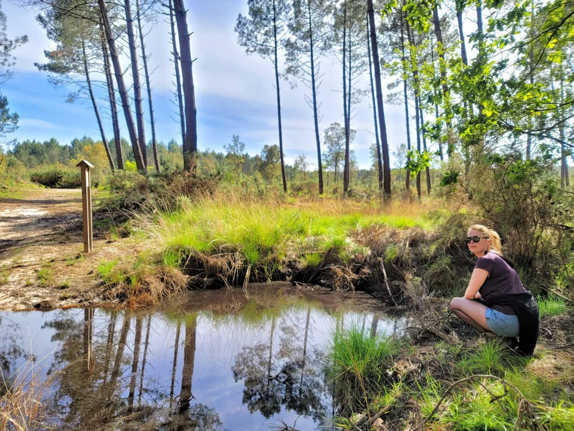 forêt landaise à vieux boucau les bains