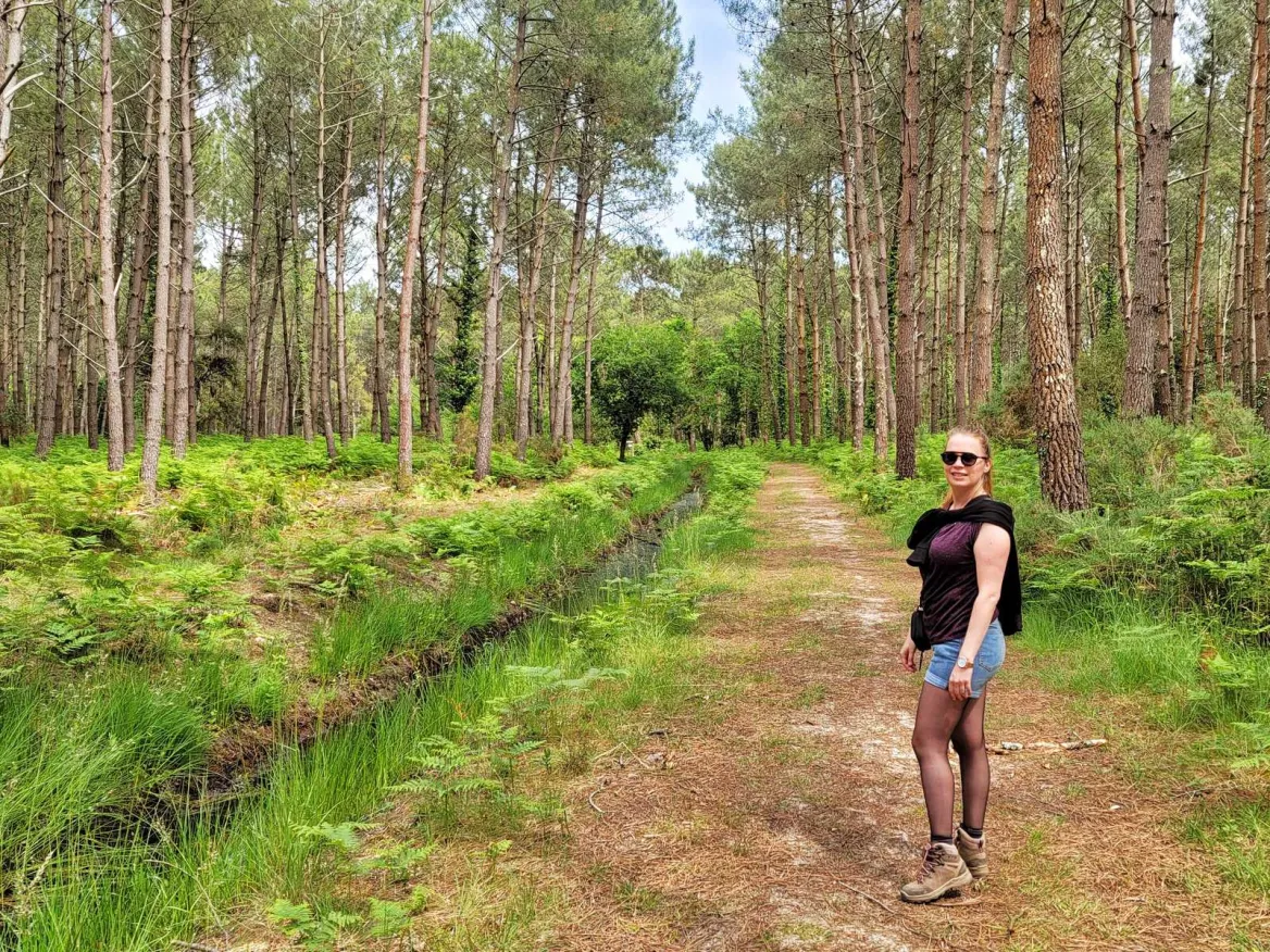 forêt landaise à vieux boucau les bains