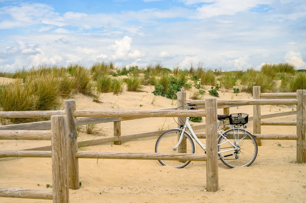 Vivier beach, Biscarrosse