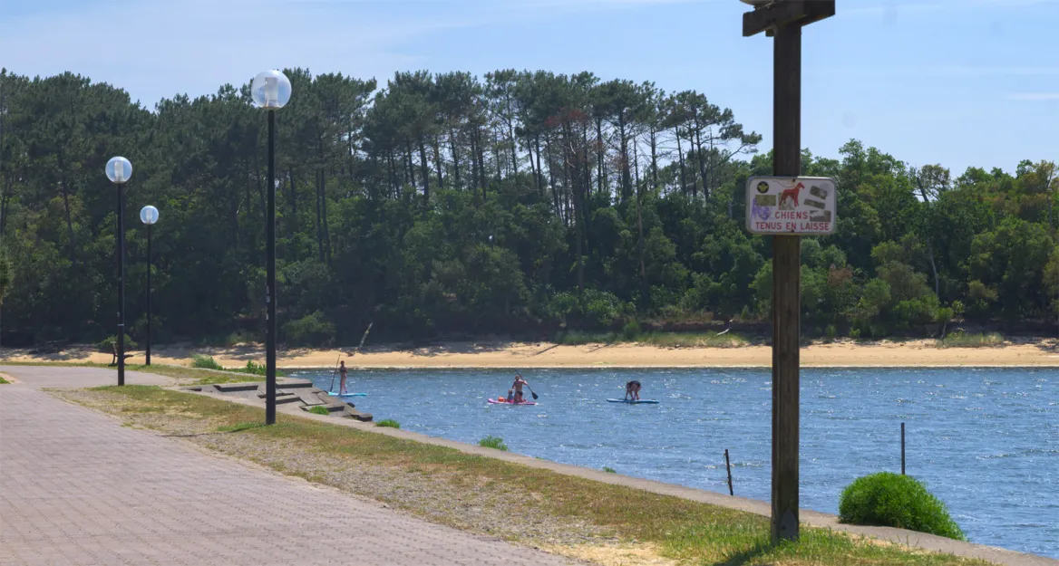 Lac du Port d'Albret