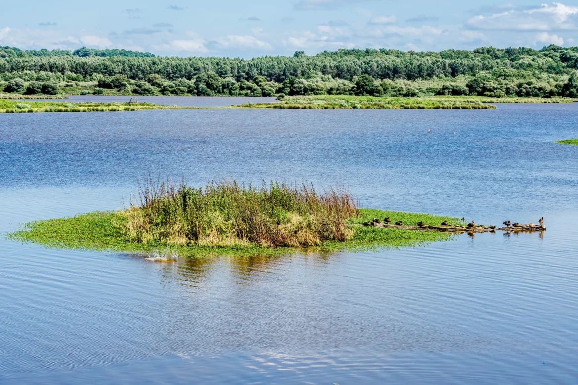 Nature & Residence Village