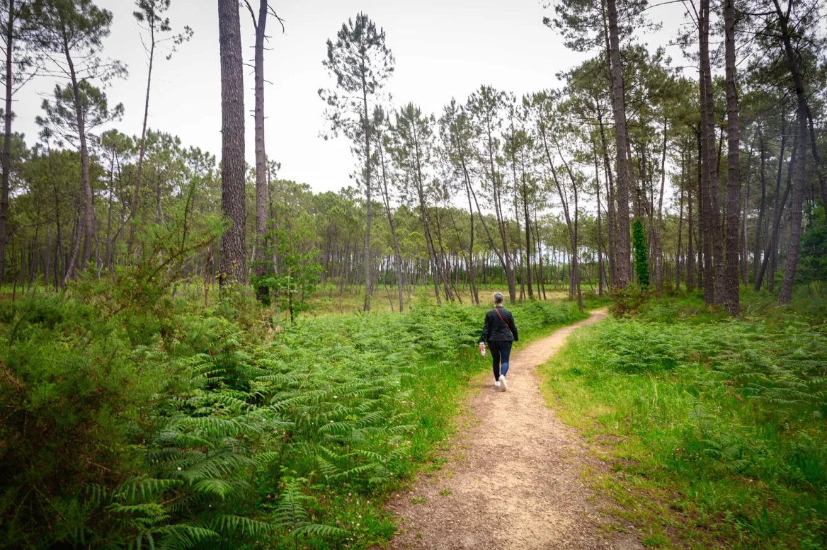 Tourbières de Mées