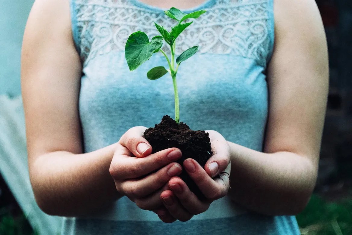 Crédit photo © Nikola-Jovanovic - Unsplash