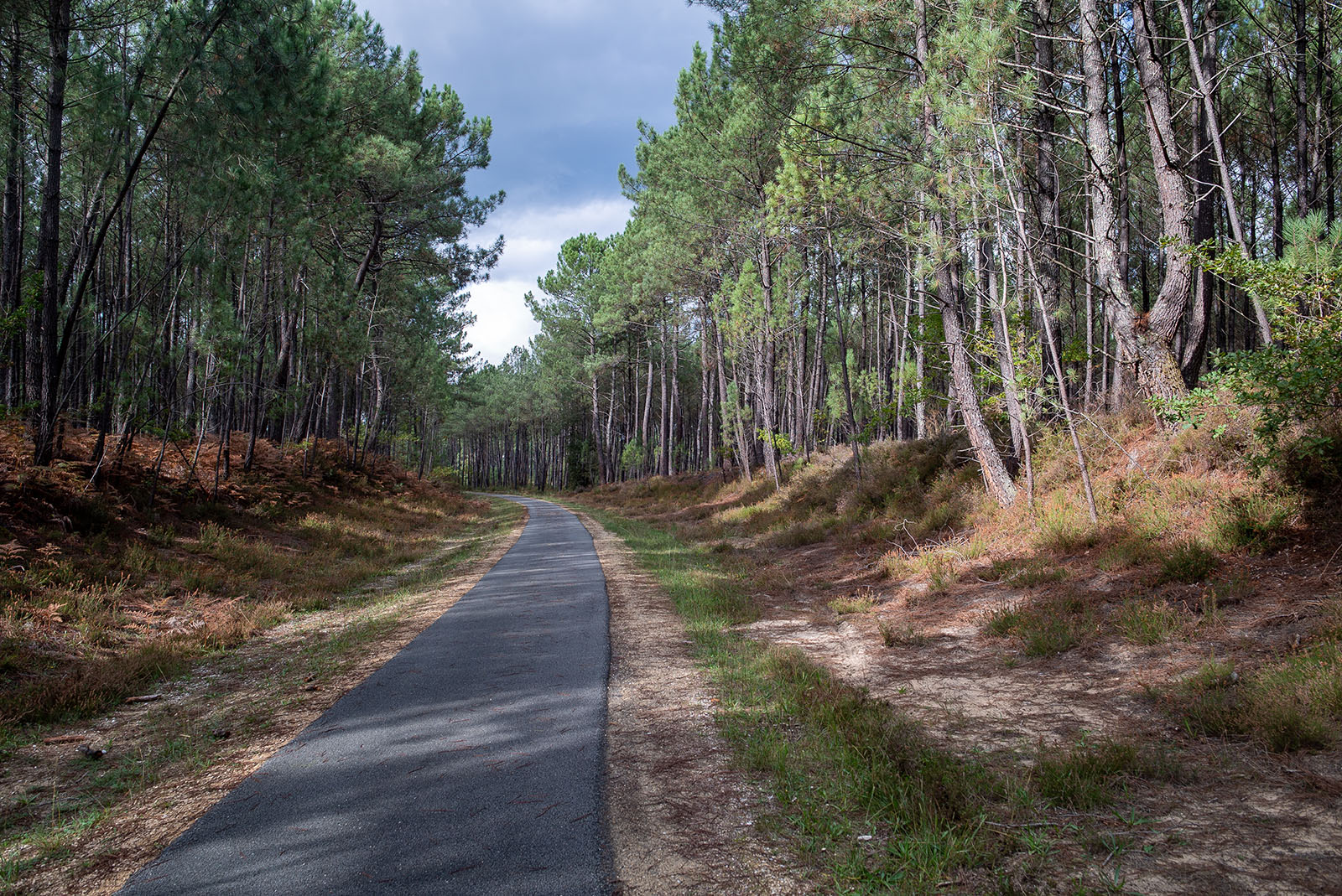 Landes de Gascogne