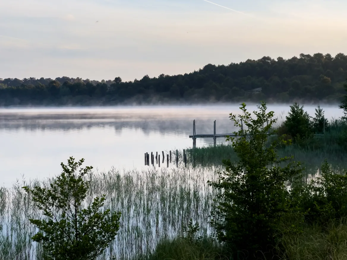 Arjuzanx Pond