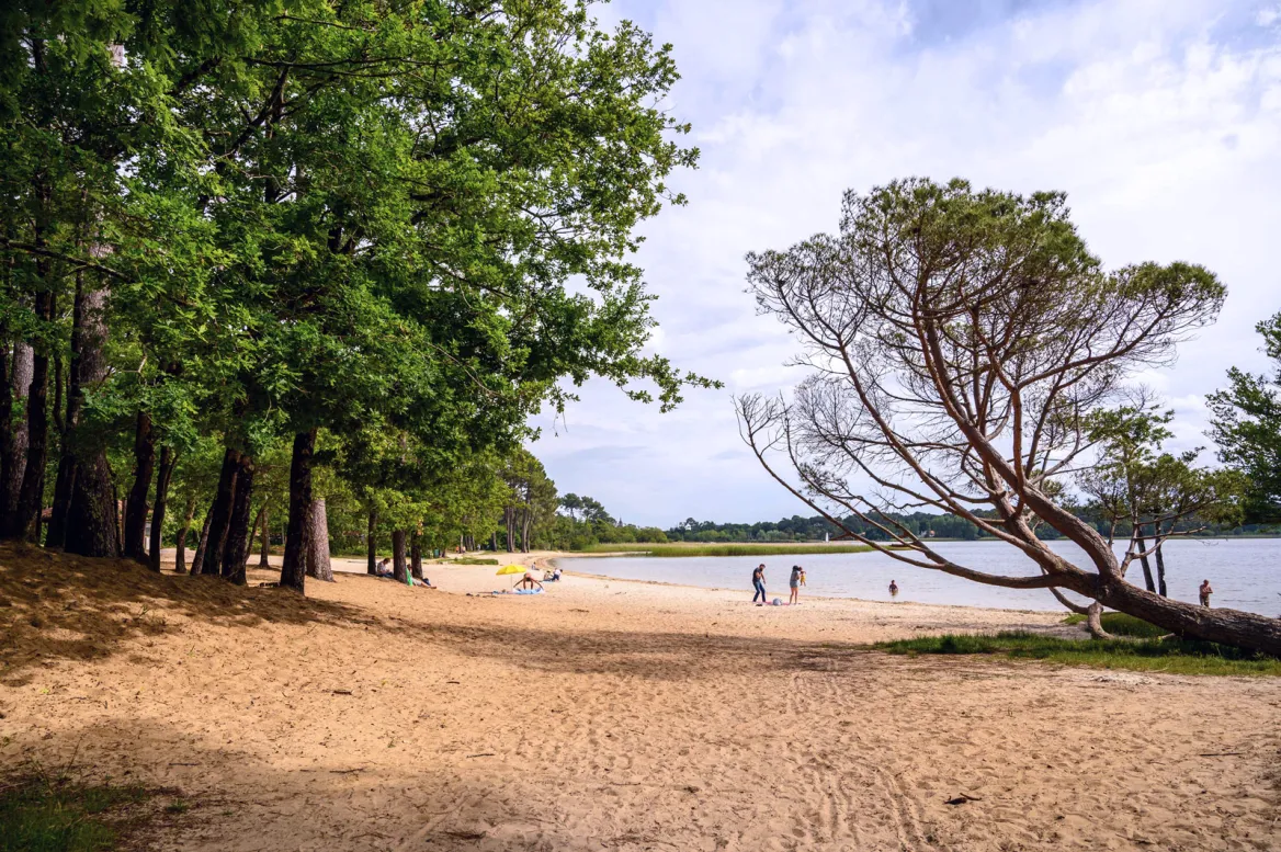 Lake Biscarrosse