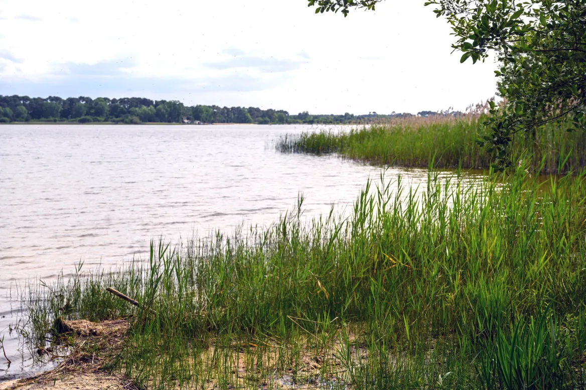 Lake Biscarrosse