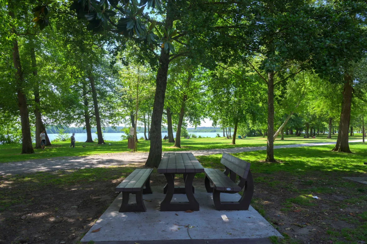 Soustons Pond