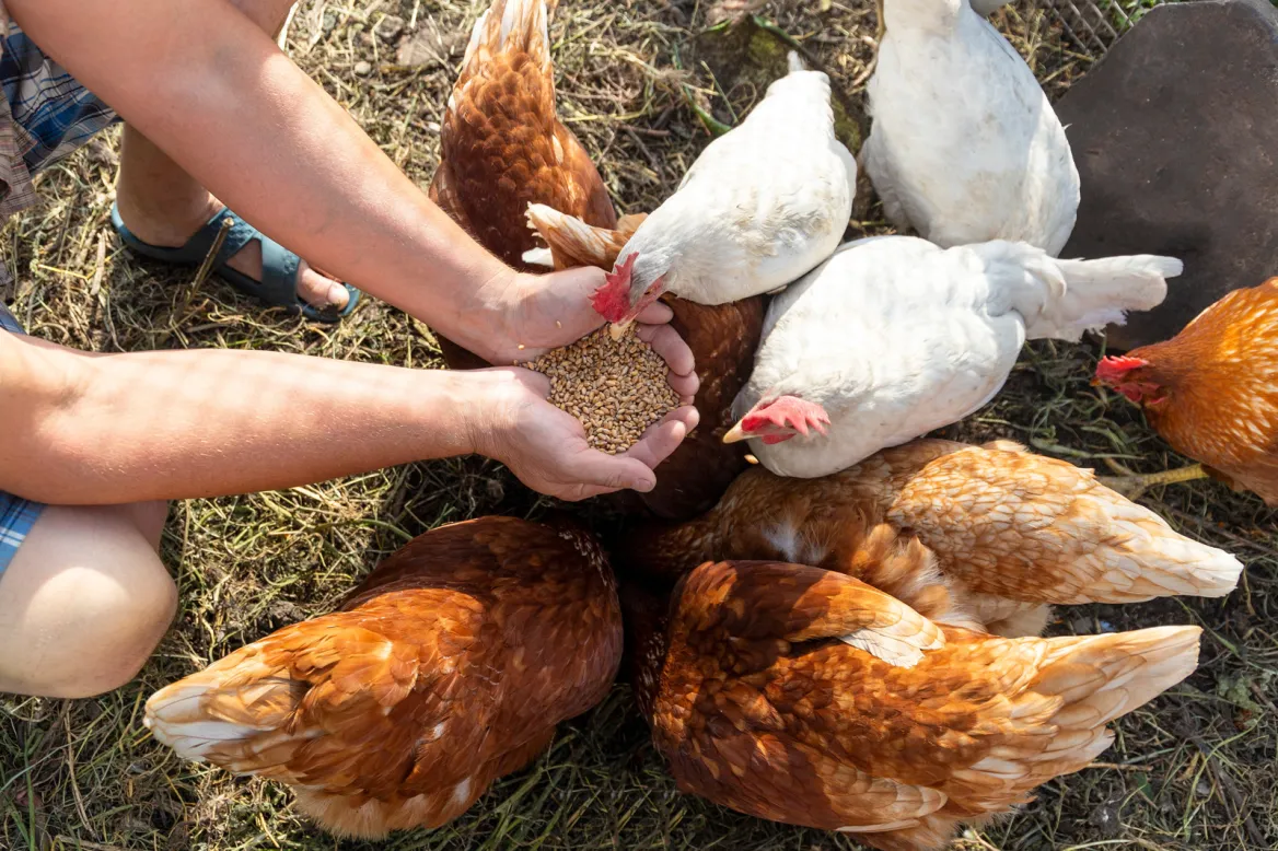Photo: AdobeStock_September