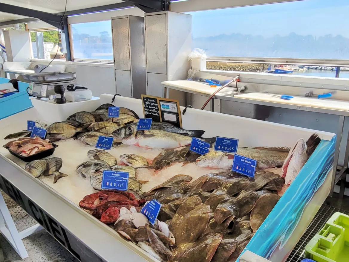 Marché aux poissons de Capbreton
