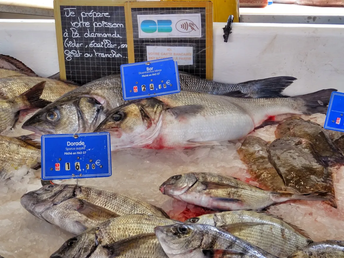 Capbreton Fish Market