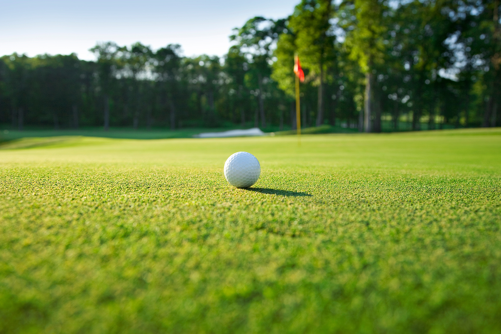 Landes Golf Course