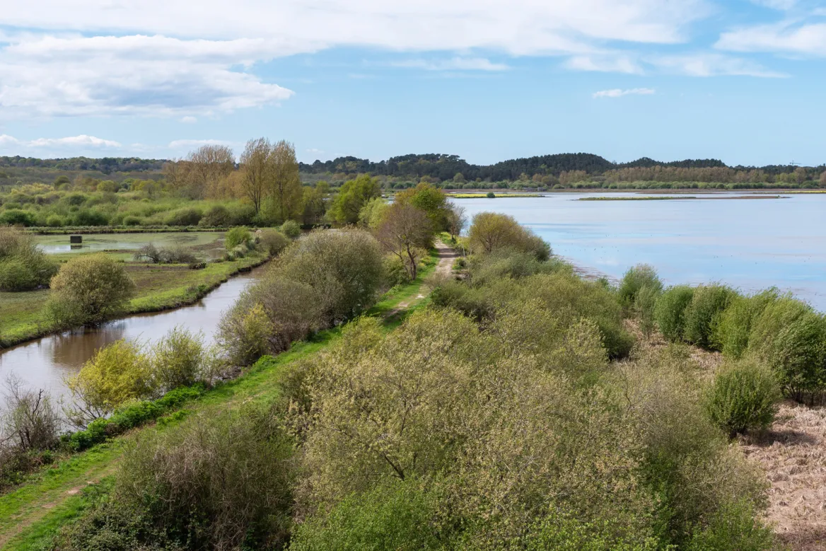 The Marshes of Orx Photo: Nestor MN Adobestock