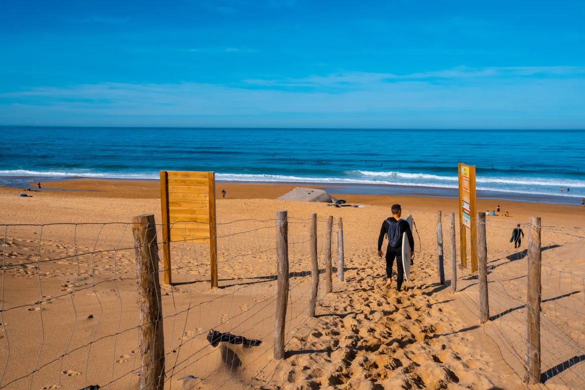 Surfing in Labenne Photo: unai Adobestock