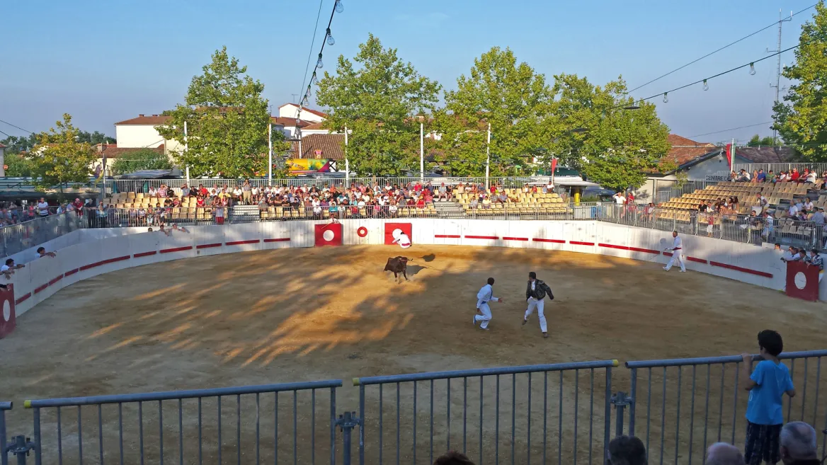 Landes race Photo: AdobeStock_matts06-