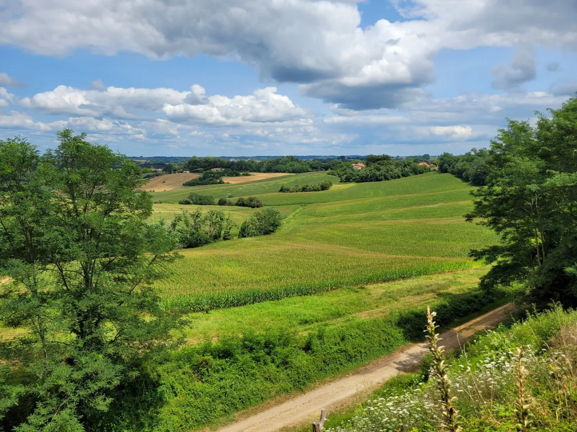Monfort-en-Chalosse
