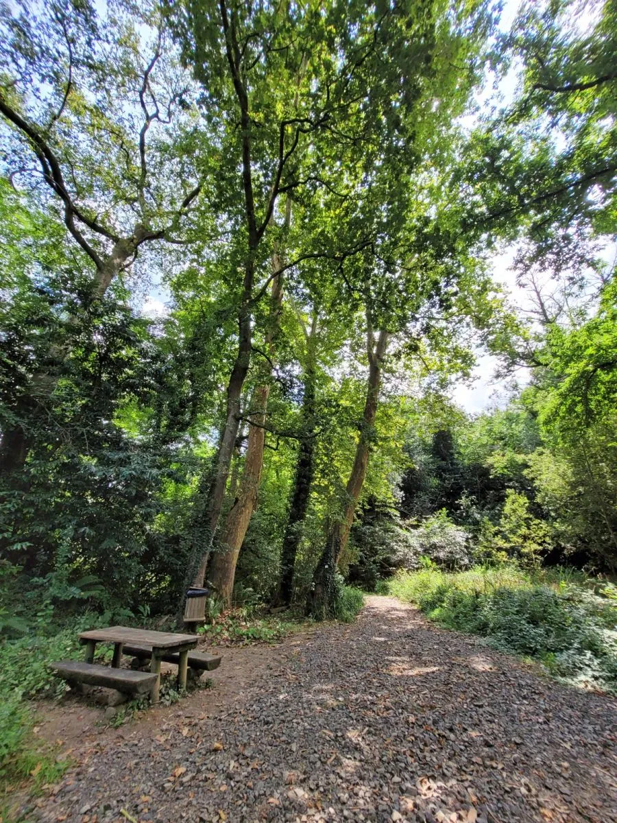 Monfort-en-Chalosse