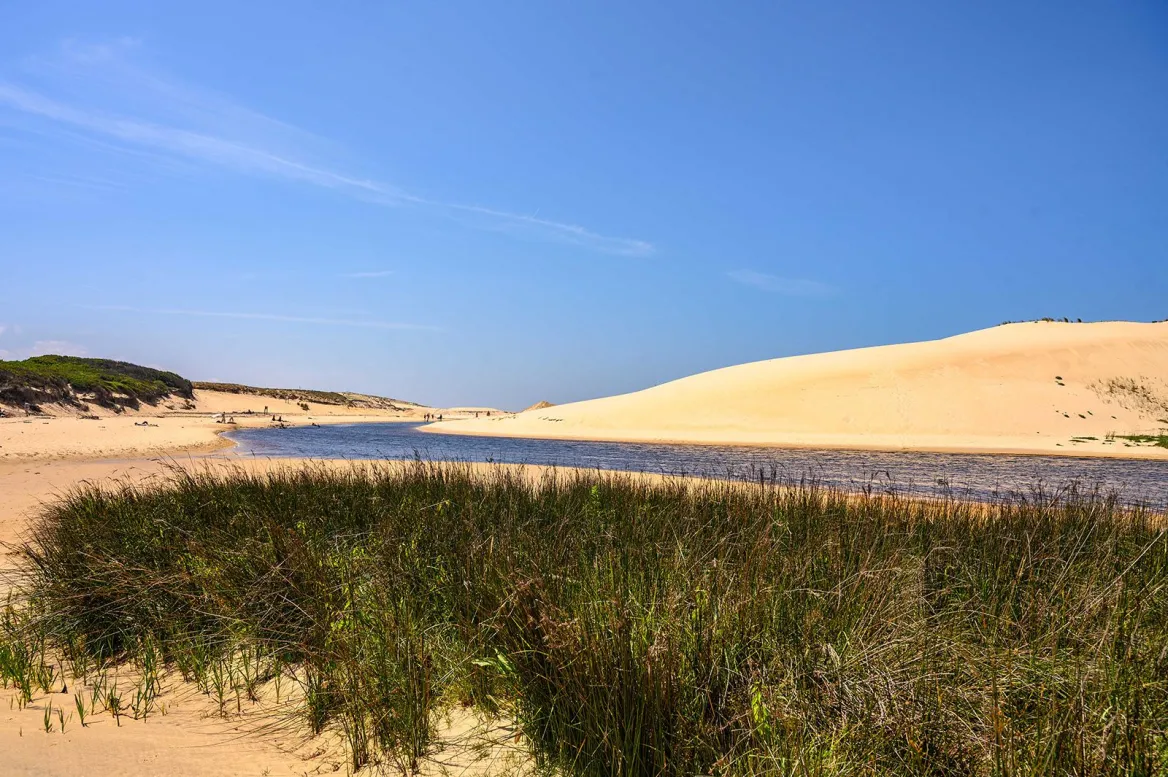The Landes in 1 week