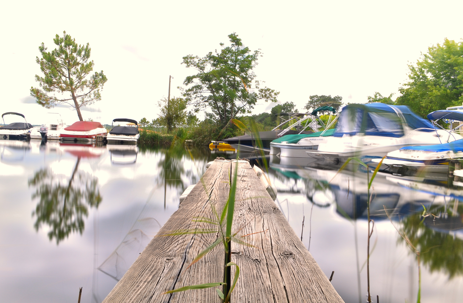 port lily biscarrosse