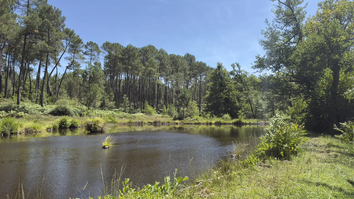 centre de biodiversité jean Rostand
