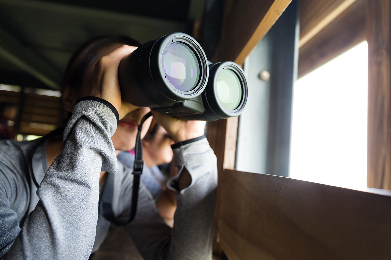 Observation jumelles