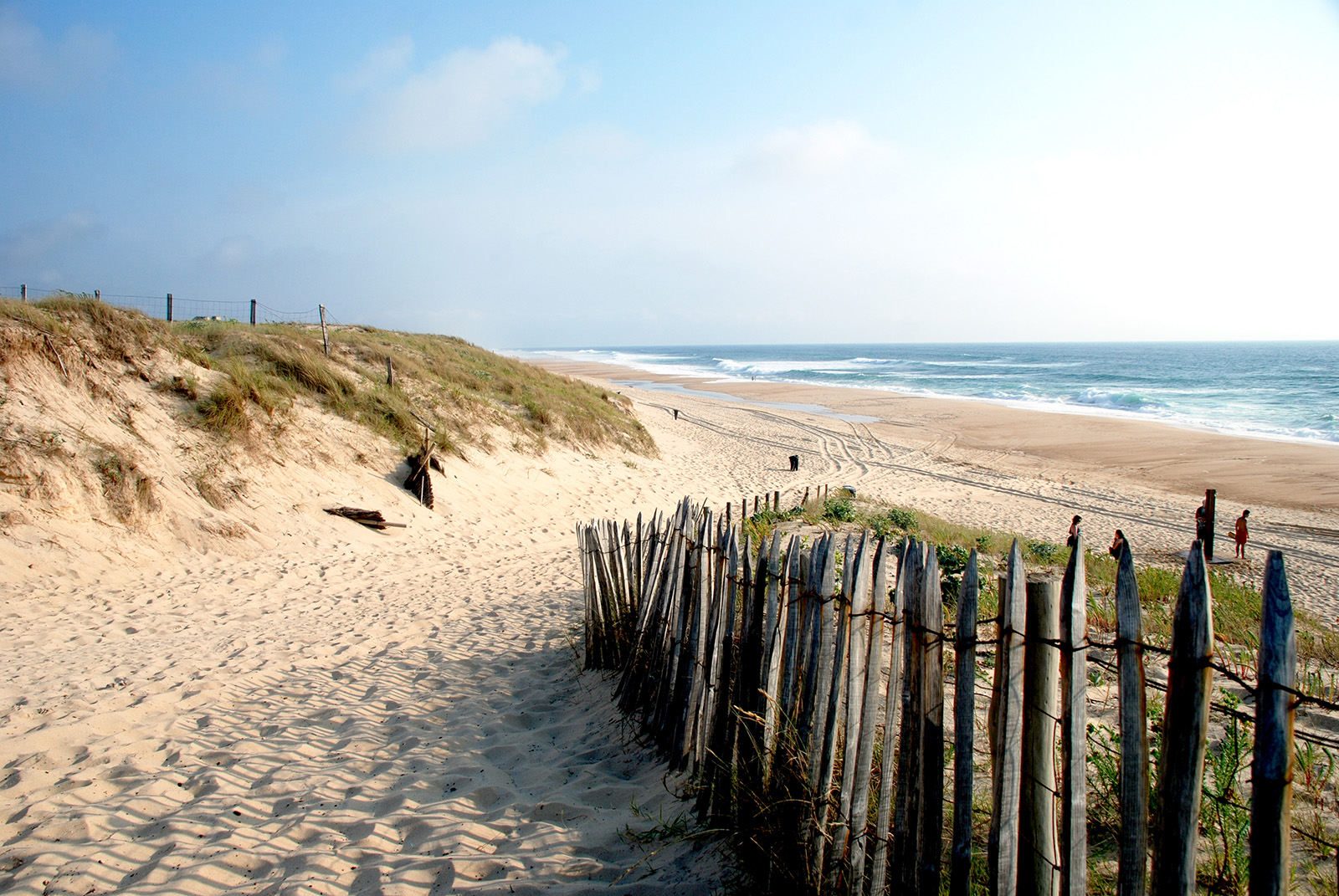 Landes plage