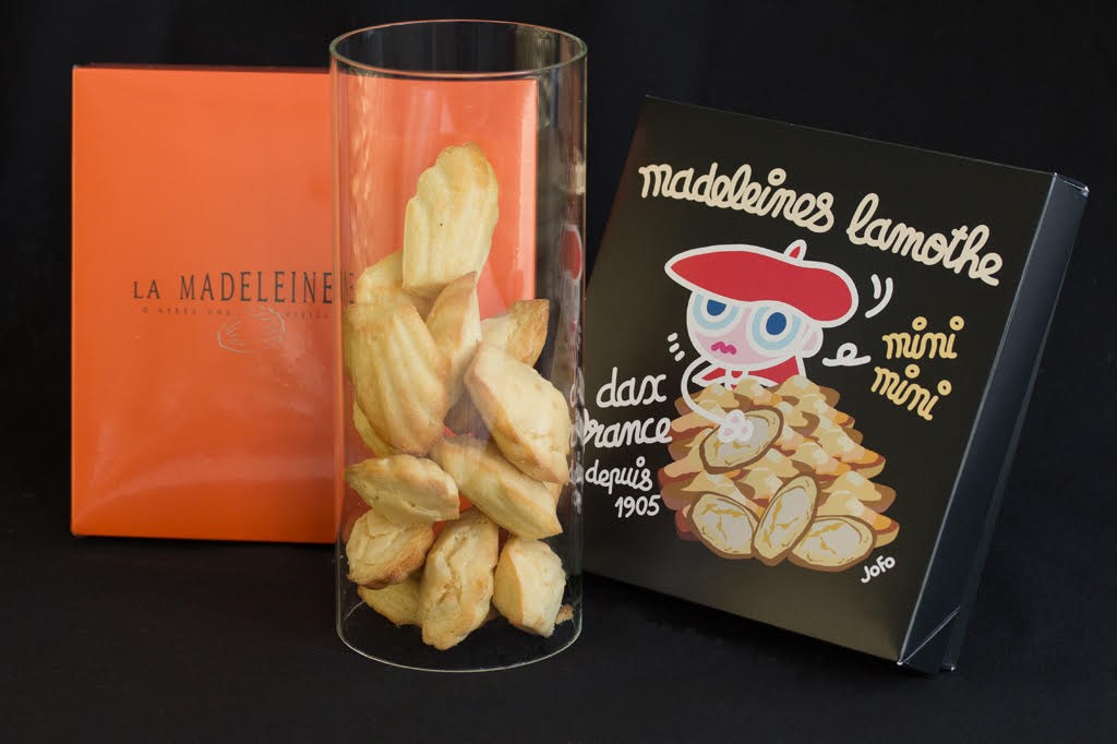 Maison Lamothe Madeleines Dax