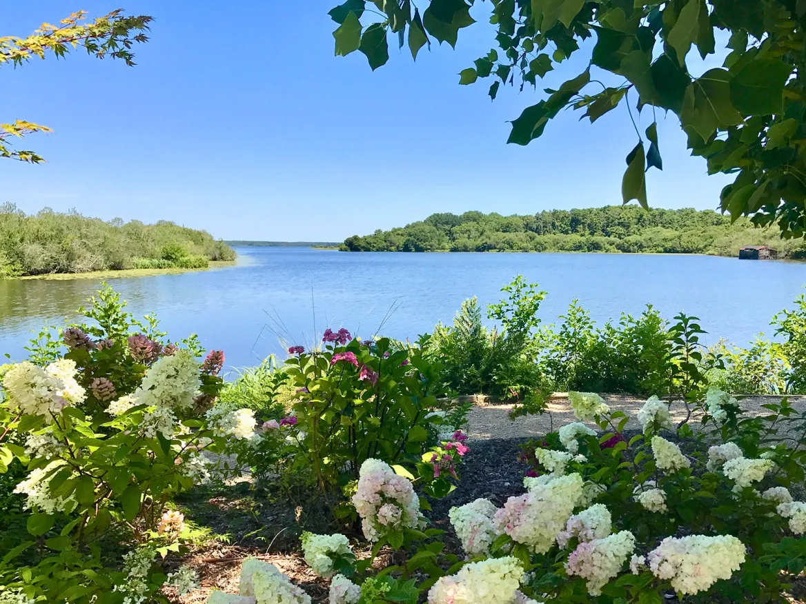 Lake Aureilhan