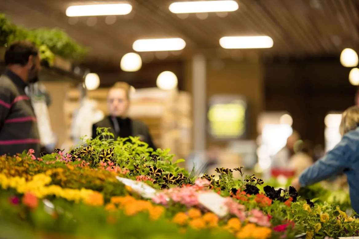 Mont-de-Marsan market
