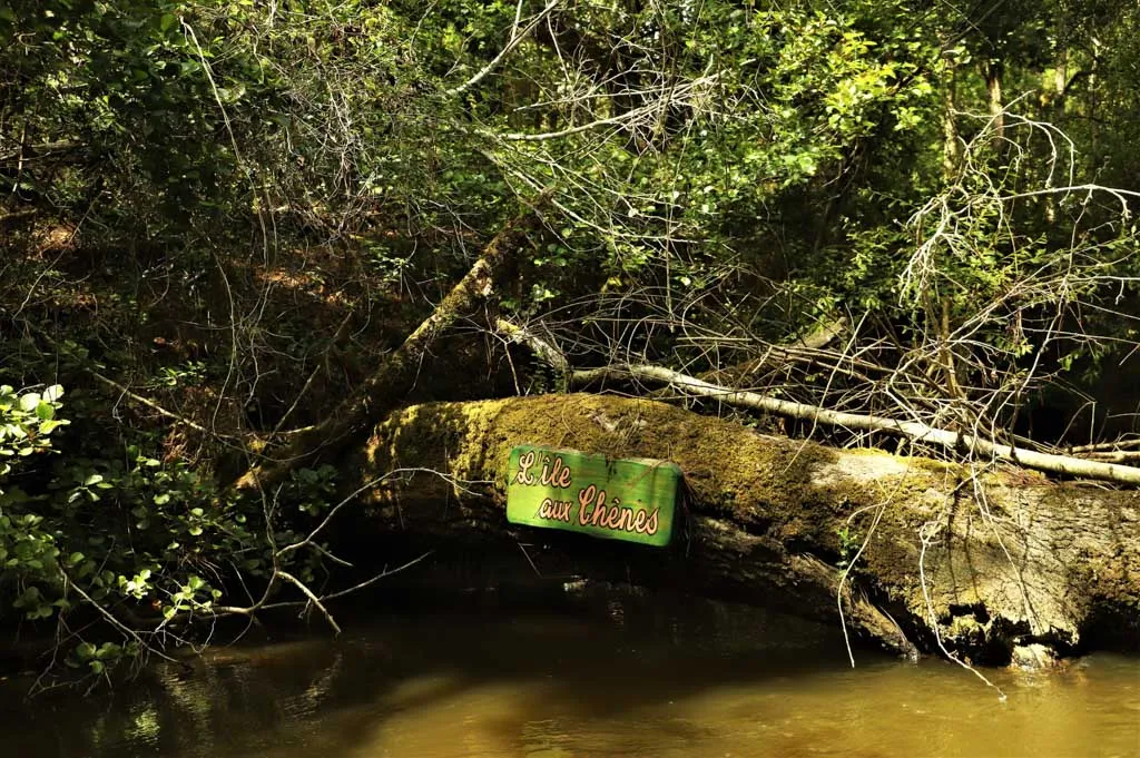 Un univers insolite et sauvage