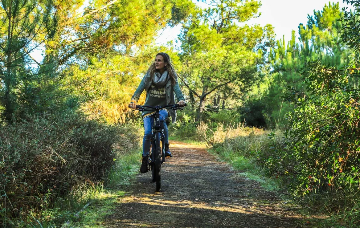 Landes forest