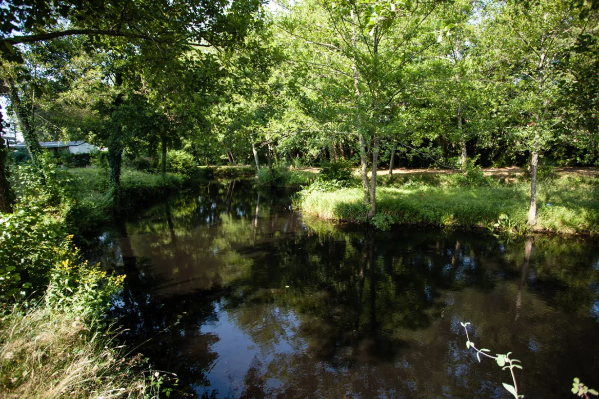 Nature Landes Sun