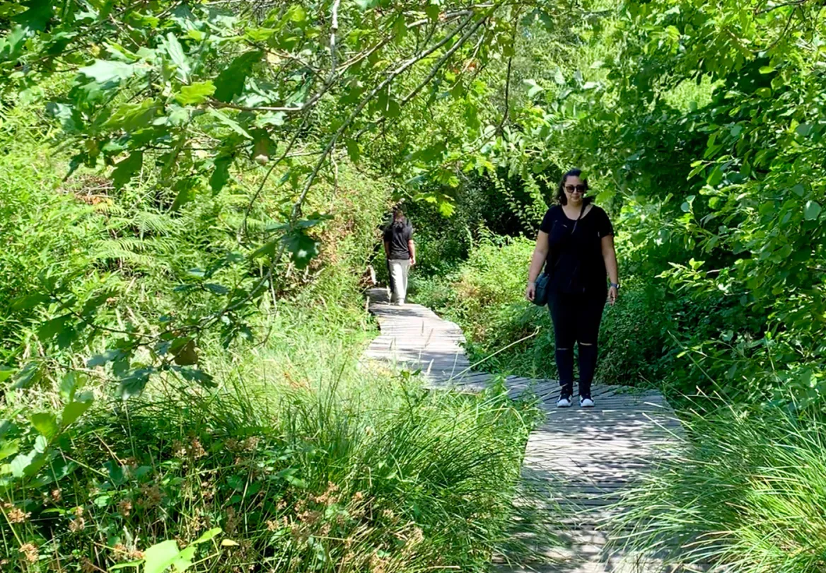 Walk to the black pond