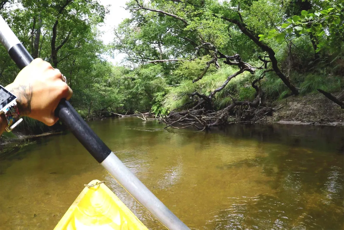 The Testarouman Leisure Center