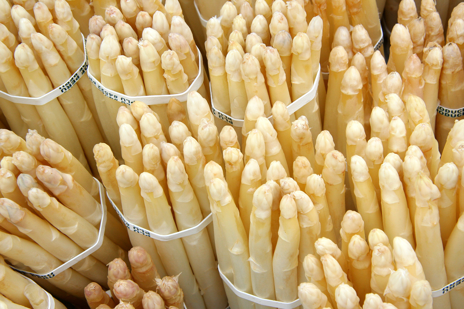 Landes asparagus