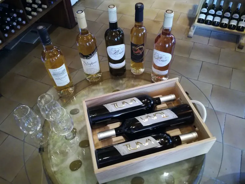 Vignoble Dulucq, un vin de Tursan