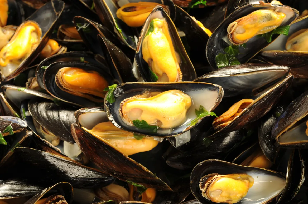 Mussels from the Landes