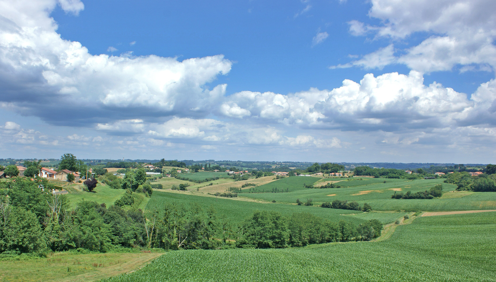 Landscape of Chalosse