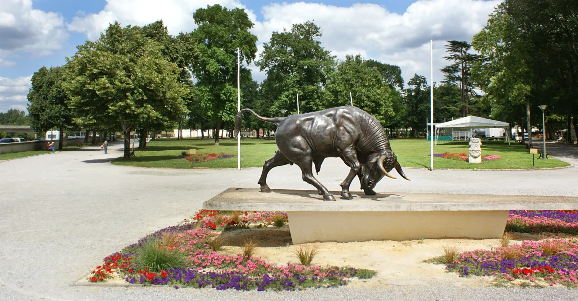 Bull status near the Dax arenas