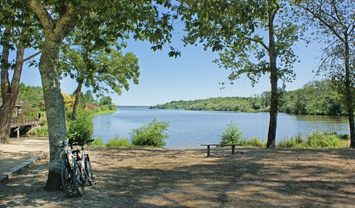 Lac de Biscarosse