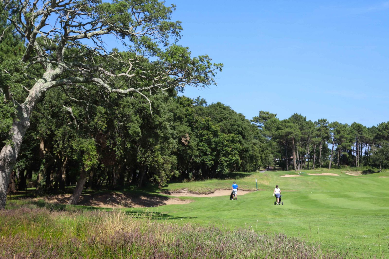 Golf de Moliets et Maa